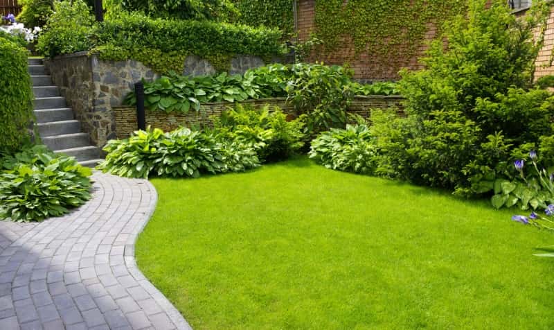 Gepflegter Garten und Landschaftsbau